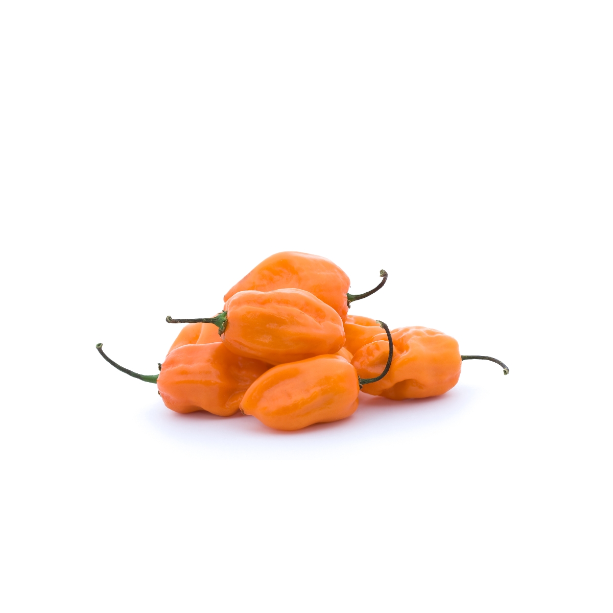 Ají / Chile Habanero Naranja fresco y en semilla