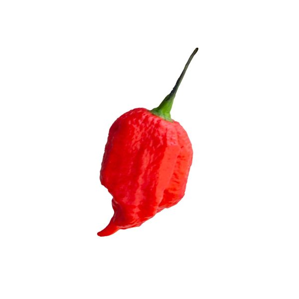 Carolina Reaper en semilla