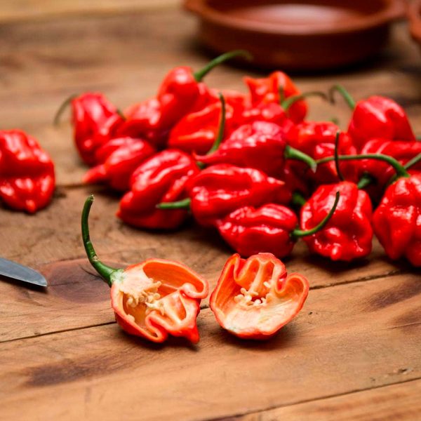 Ají / Chile Trinidad Scorpion fresco y en semilla