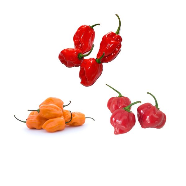 Pack de Semillas de Habaneros en Colombia