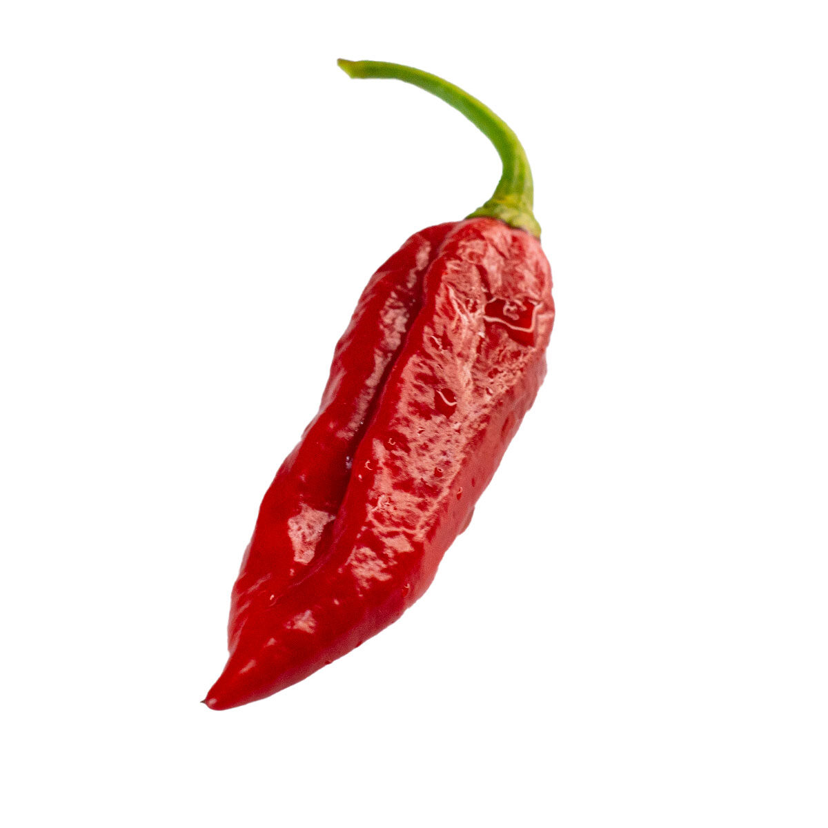 Semillas de chile Naga Morich en Colombia