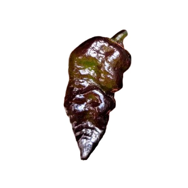 Semillas de Leopard Reaper