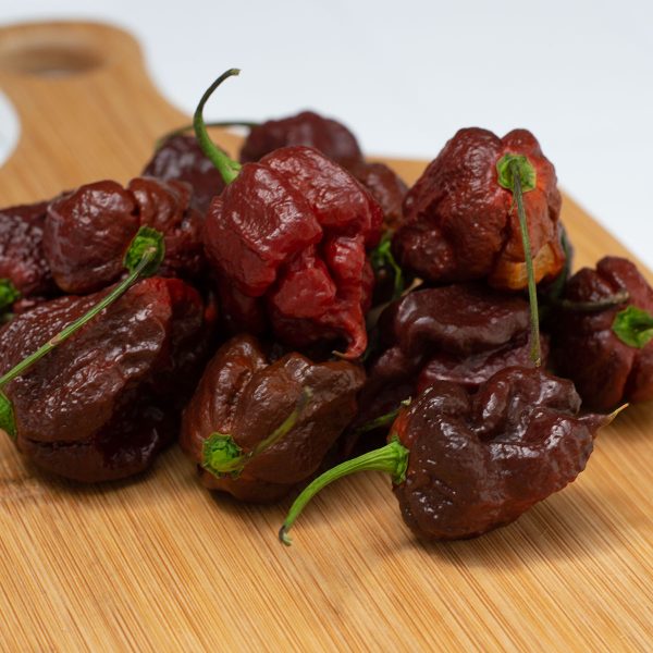 Semillas de Carolina Reaper Chocolate