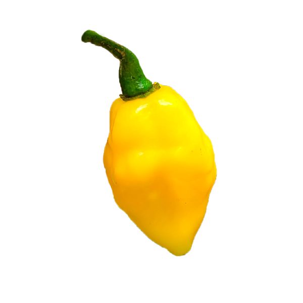 Semillas de Ají Naga Amarillo