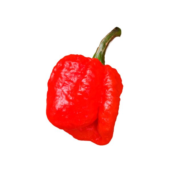 Semillas de Chile Overkill