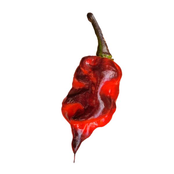 Semillas de Chile Red Shark